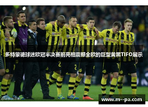 多特蒙德球迷欧冠半决赛前亮相震撼全欧的巨型黄黑TIFO展示