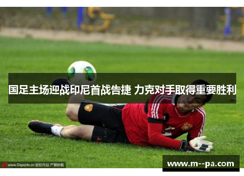 国足主场迎战印尼首战告捷 力克对手取得重要胜利 国足主场迎战印尼首战告捷 力克对手取得重要胜利