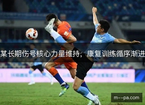 某长期伤号核心力量维持，康复训练循序渐进